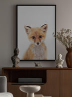 Baby Fox