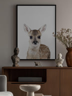 Baby Deer