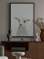 Baby Lamb