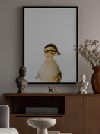Baby Duck