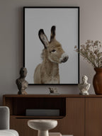Baby Donkey