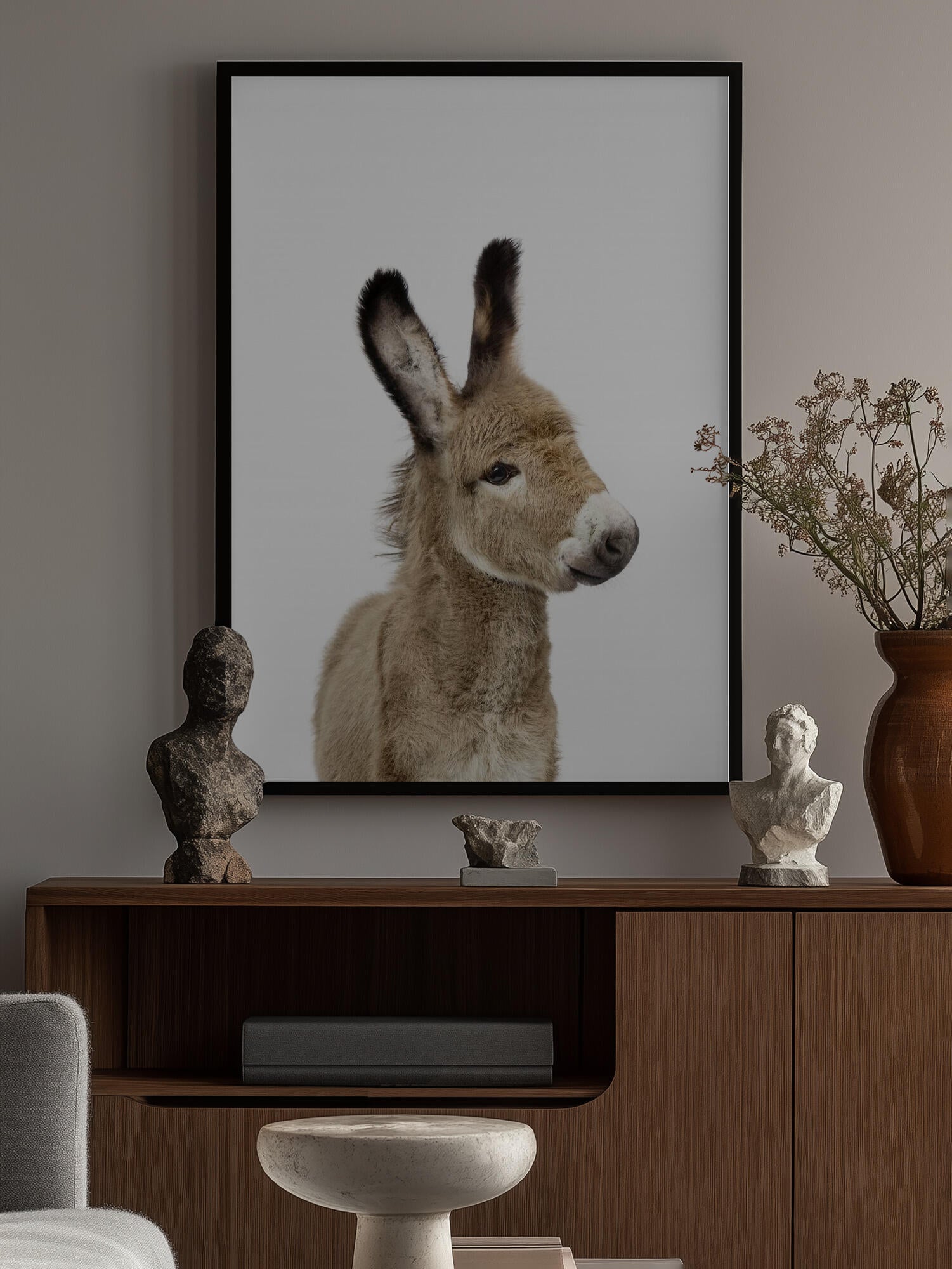 Baby Donkey