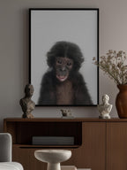 Baby Monkey