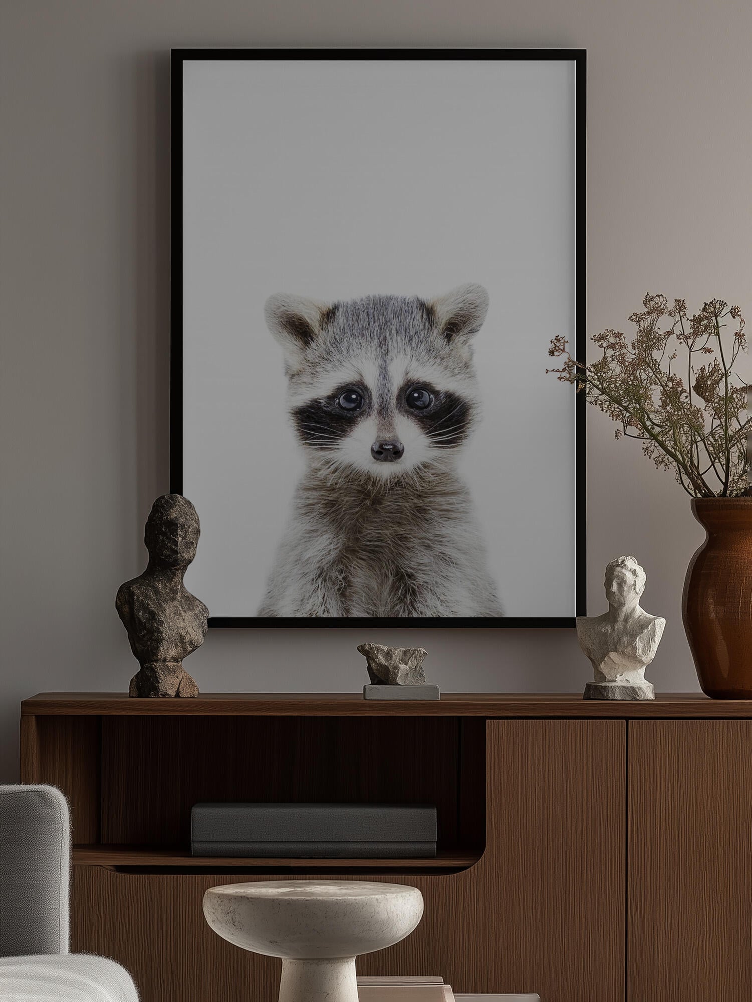 Baby Racoon