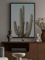 Saguaro