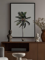 Windy Palm Tree