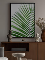 Green Palm Leaf