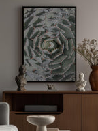 Spiral Succulent Maze