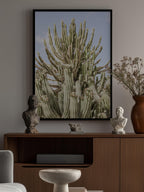 Cactus Symphony