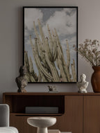 Desert Sentinels