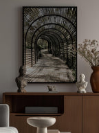 Shadow Garden