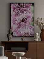 Tiger Blooms