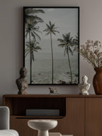 Tropical Dreams