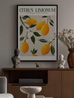 Golden Citrus Delight