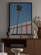 Palm Springs II