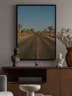 Joshua Tree Road II