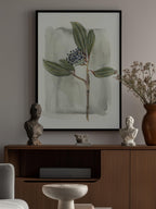 Viburnum davidii