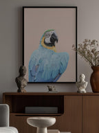 Blue Macaw