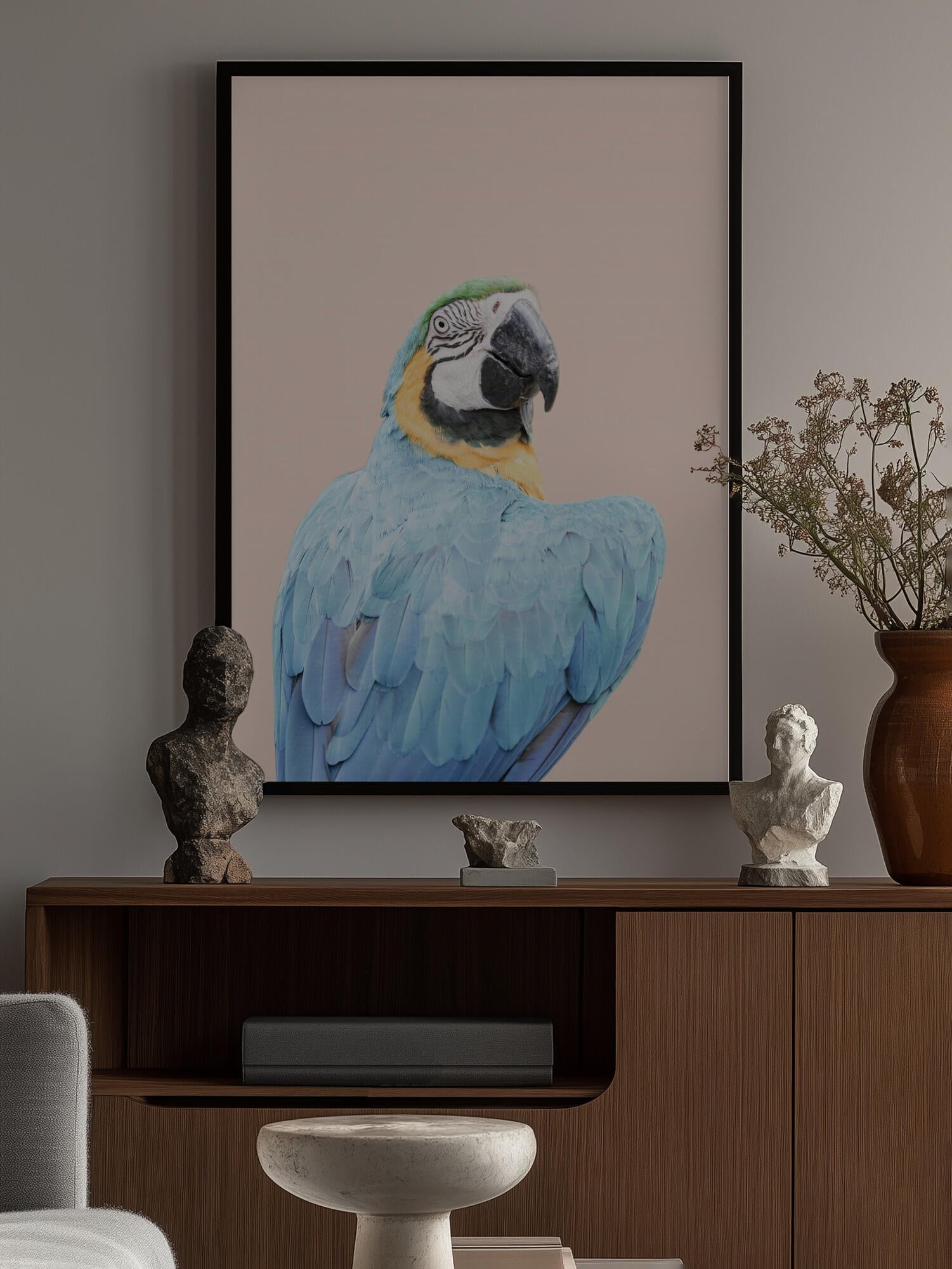 Blue Macaw