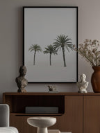 Palms