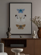 English Butterlies 2