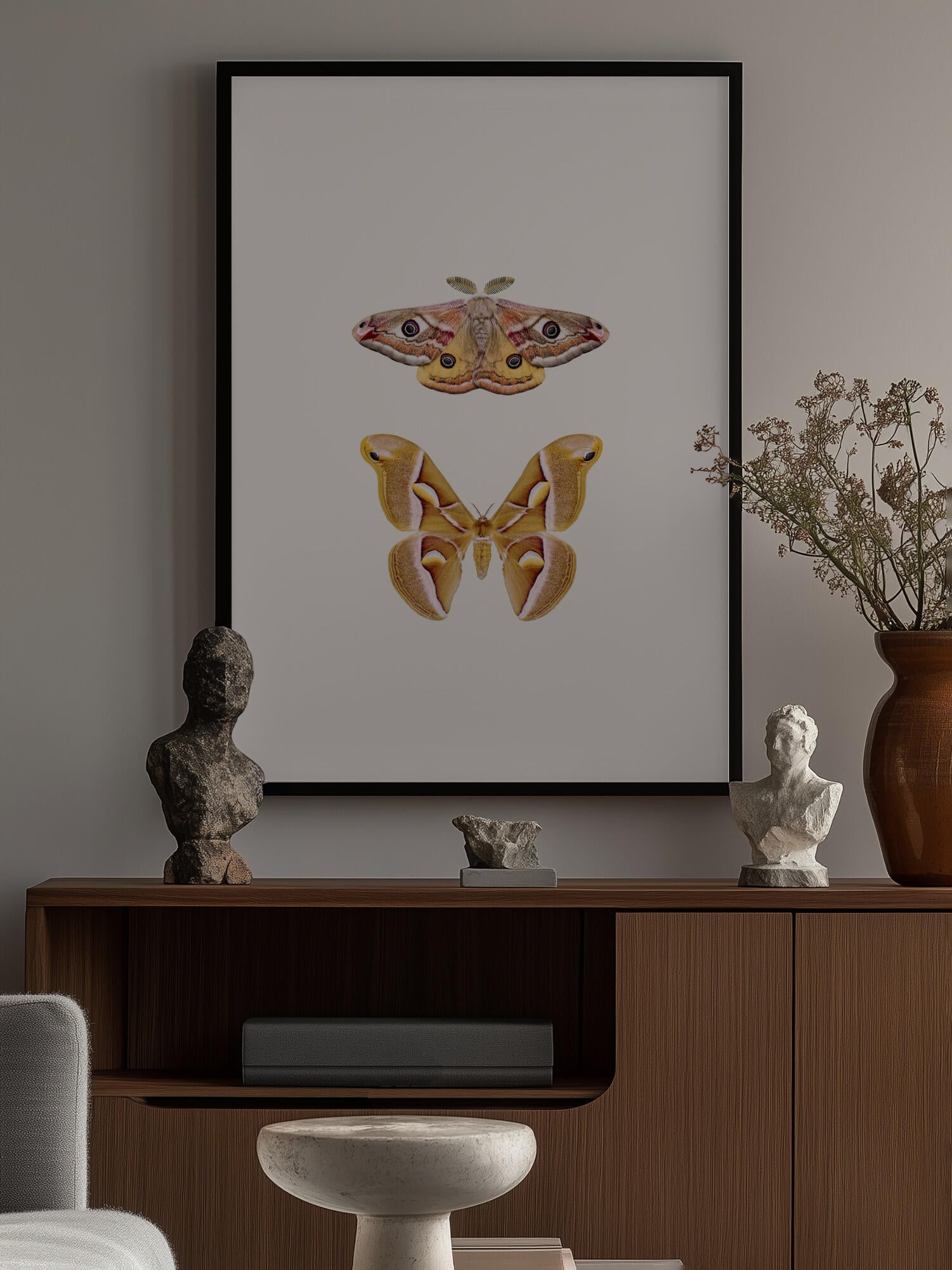 Moths