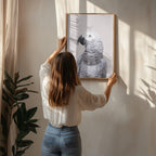 African Grey