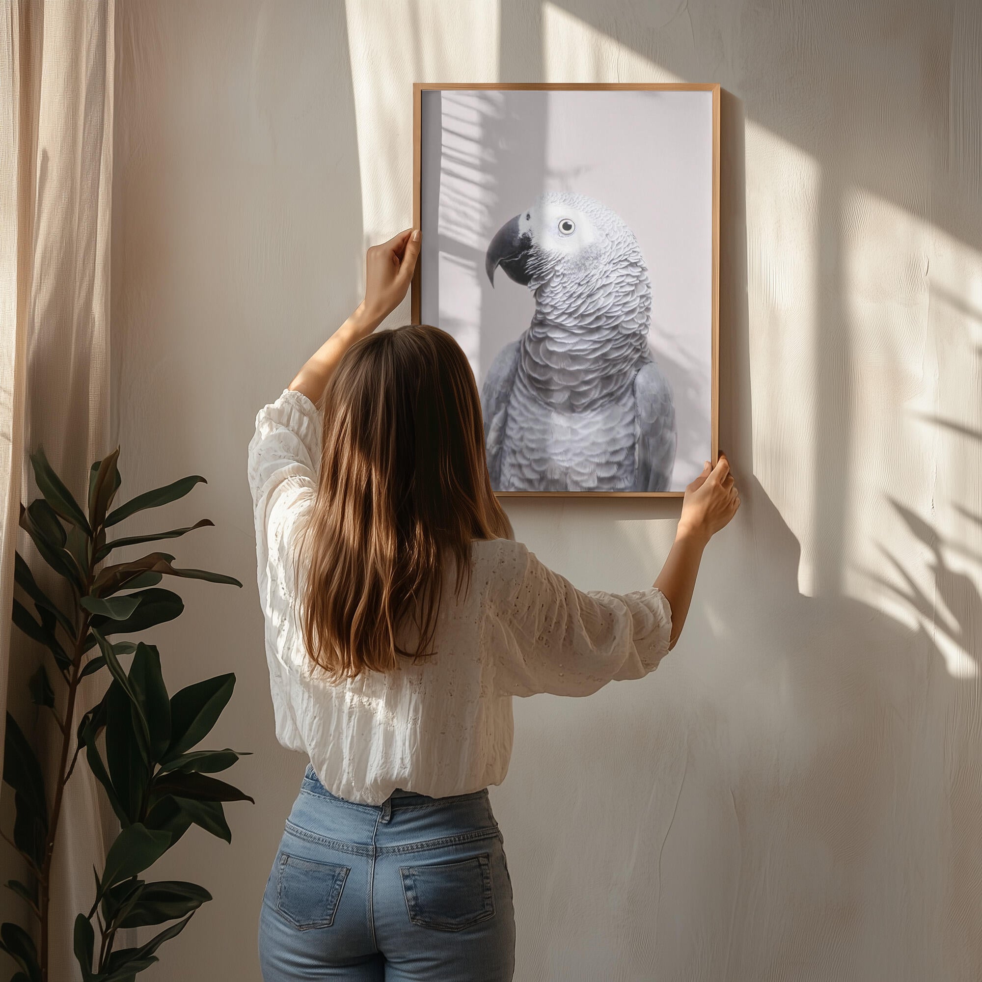 African Grey