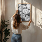 Peonies