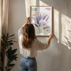 Lavender Blooms