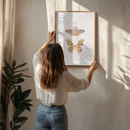 Moths