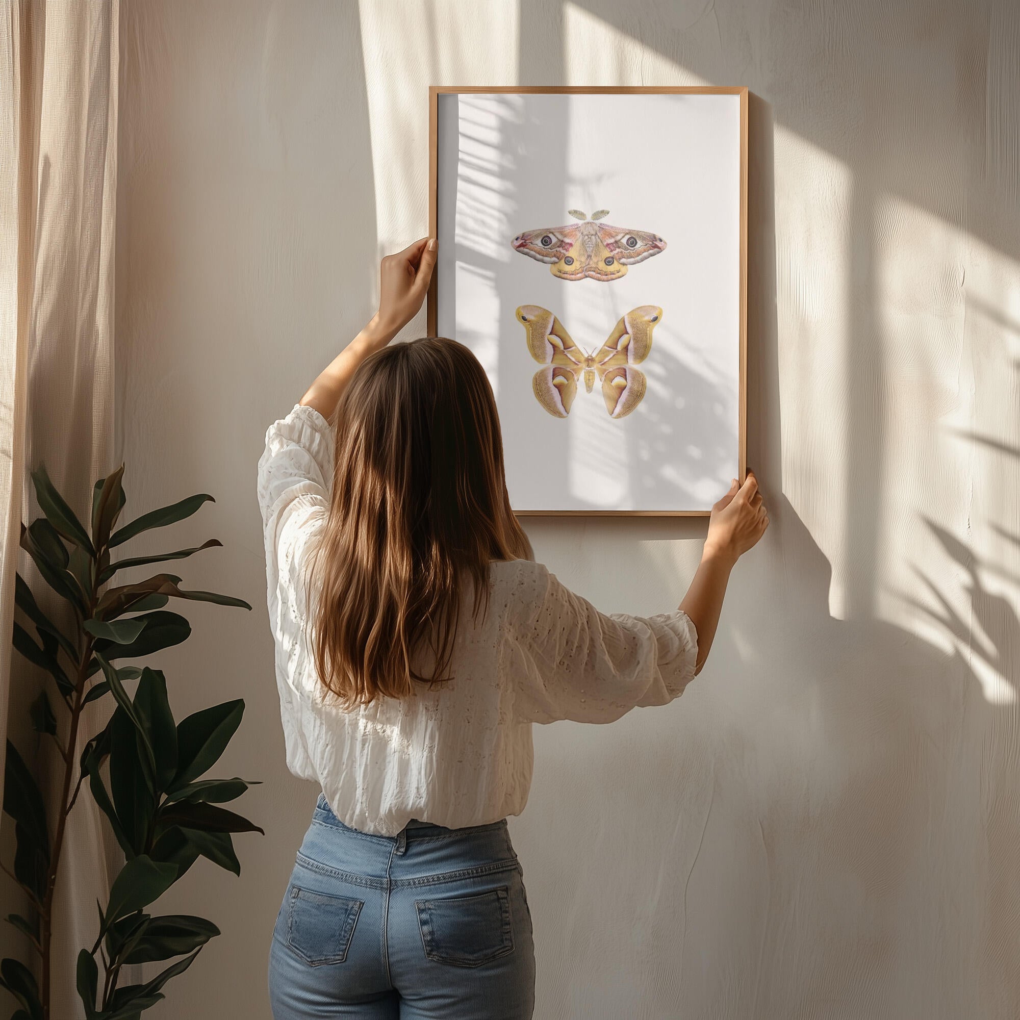 Moths